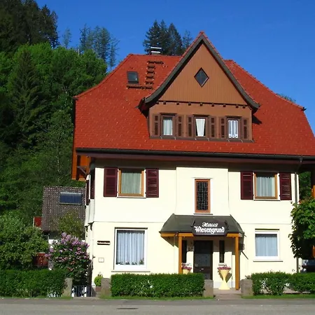 Appartementhaus-wiesengrund-fewo4 *
