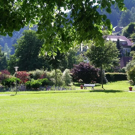 Appartementhaus-wiesengrund-fewo4 *