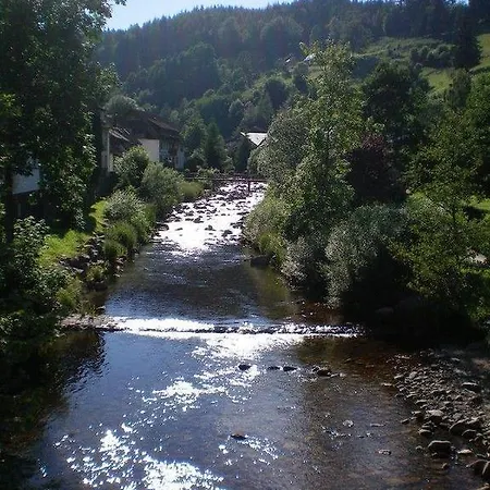 Appartementhaus-wiesengrund-fewo4 Daire *