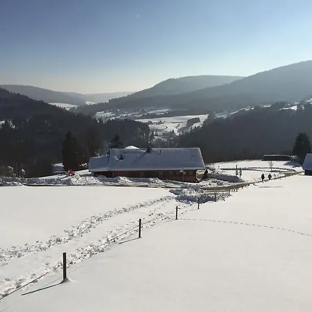 Appartementhaus-wiesengrund-fewo4 Daire Baiersbronn