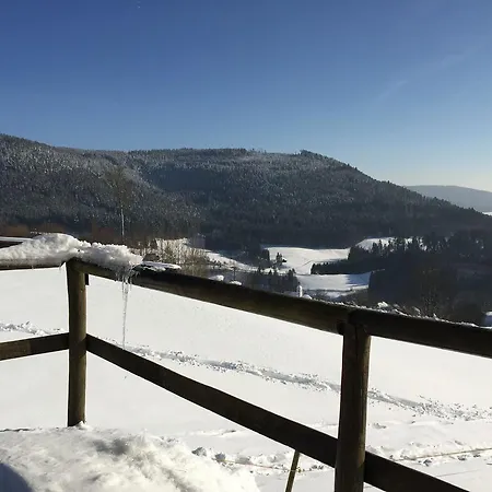 Appartementhaus-wiesengrund-fewo4 Baiersbronn