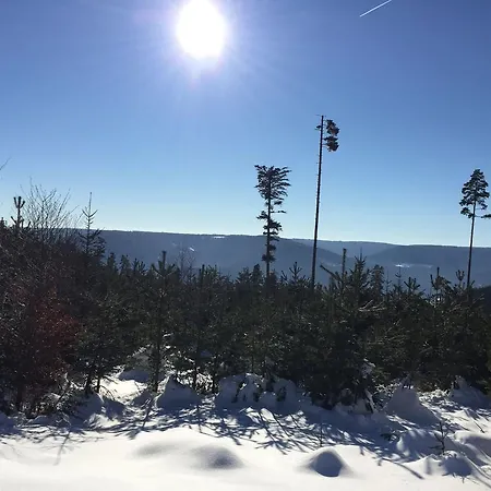 Daire Appartementhaus-wiesengrund-fewo4 *